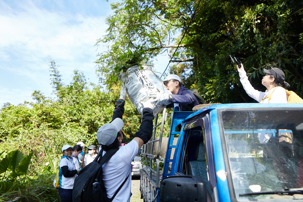 友達串聯志工組成水環境巡守隊，針對霄裡溪沿岸3公里的小花蔓澤蘭，定期進行移除與防治工作